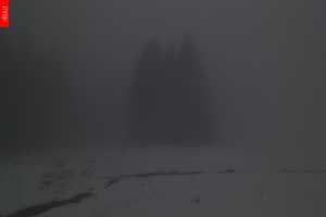 Kamera Rokytnice nad Jizerou  Zalomený