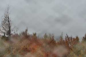 Kamera Krynica-Zdrój Jaworzyna Krynicka 