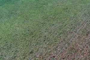 Kamera Koszałkowo Wieżyca Koszałkowo - Wieżyca