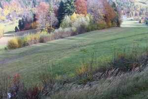 Kamera Laskowa - Kamionna  Laskowa-ski