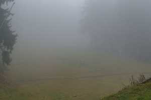 Kamera Zieleniec Sport Arena  Zieleniec SKI Arena - Nartorama