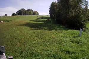 Kamera Puławy KiczeraSki Kiczera SKI