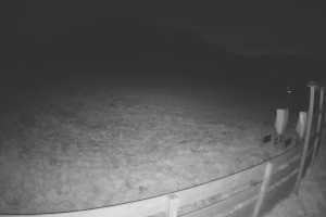 Kamera Czarnów Czarnów Ski Czarnów-ski