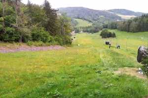 Kamera Czarnów Czarnów Ski Czarnów-ski