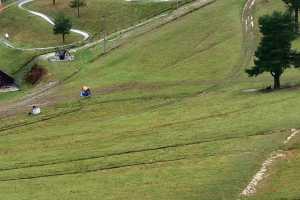 Kamera Szczawnica Szafranówka Palenica Szafranówka - NOWOŚĆ