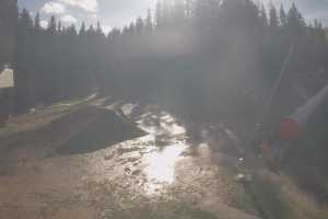 Kamera Istebna Złoty Groń Złoty Groń - szkółka