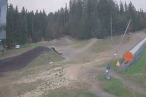 Kamera Istebna Złoty Groń Złoty Groń - szkółka