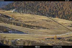 Kamera San Martino di Castrozza  Tognola - Rododendro
