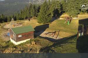 Svatý Petr (LIVE Stream)