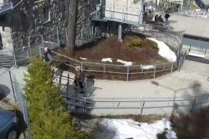 Kamera KUŹNICE - Kolej na Kasprowy Wierch