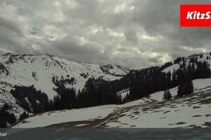 Hahnenkamm Berg (LIVE Stream)