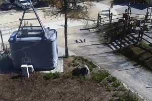 Kamera KUŹNICE - Kolej na Kasprowy Wierch