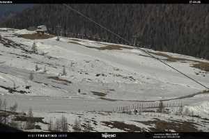 Kamera San Martino di Castrozza  Tognola - Rododendro