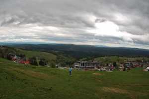 Zieleniec Winterpol