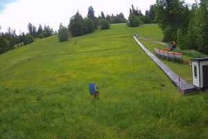 Kamera Poronin Suche-Ski u Jędrola U Jędrola Dyzio