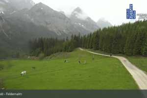 Kamera Ehrwald Ehrwalder Almbahn - Tiroler Zugspitz Are Feldernalm (LIVE Stream)