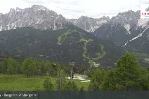 Kamera Stiergarten (LIVE Stream)