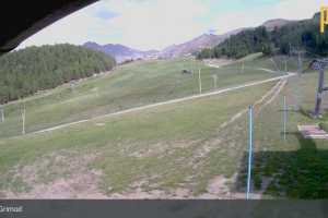 Kamera Couis 2 (LIVE Stream)