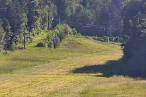 Kamera Laskowa - Kamionna  Laskowa SKI - Kamionna