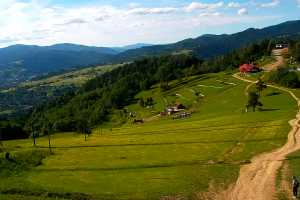 Kamera Szczawnica Szafranówka Palenica Szafranówka - NOWOŚĆ