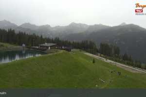 Kamera Steinach am Brenner Bergeralm Bergeralm - Steinboden (LIVE Stream)
