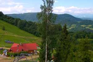 Kamera Szczawnica Palenica