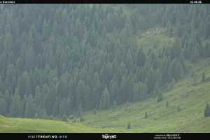 Kamera San Martino di Castrozza  Malga Tognola