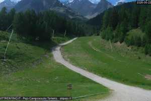 Kamera Val di Sole Pejo Campo Scuola Scoiattolo