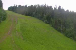 Kamera KOTELNICA - Pasieka Express