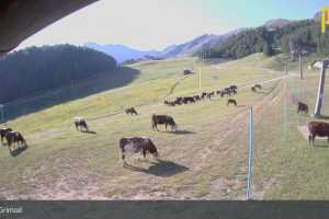 Kamera Pila Aosta  Couis 2 (LIVE Stream)