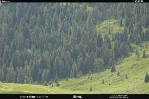 Kamera San Martino di Castrozza  Malga Tognola
