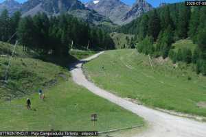 Kamera Val di Sole Pejo Campo Scuola Scoiattolo
