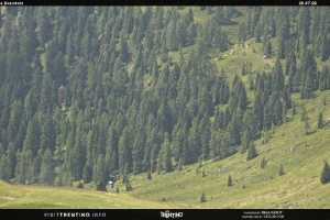 Kamera San Martino di Castrozza  Malga Tognola