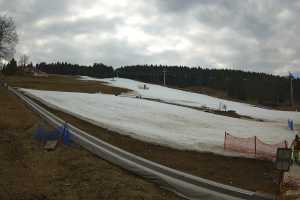 Zieleniec Winterpol