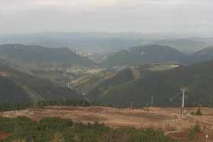 Chleb