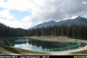Zona Spinale