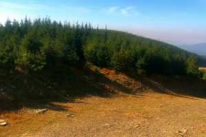 SZCZYRK MOUNTAIN RESORT - Zbójnicka Kopa