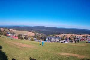 Zieleniec Winterpol