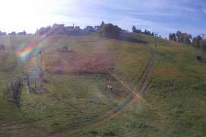 Turnia ski