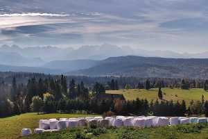 Tatry na zywo