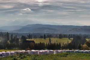Tatry na zywo