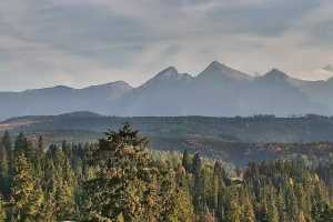 Tatry na zywo