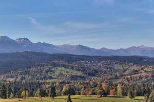 Tatry na zywo
