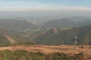 Chleb