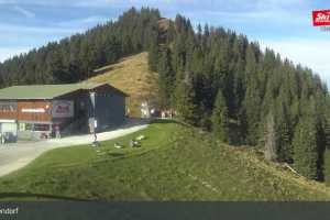 Talkaser (LIVE Stream)