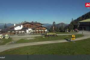 Talkaser (LIVE Stream)