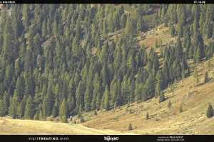 Malga Tognola