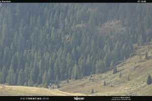 Malga Tognola