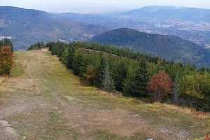 SKRZYCZNE