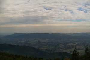 SKRZYCZNE